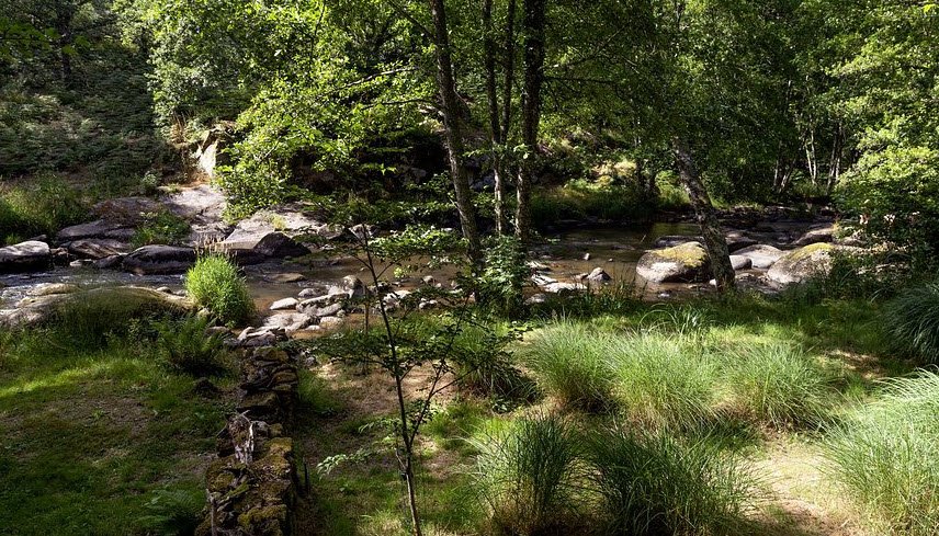 Arboretum de la Sédelle, Crozant, France, France